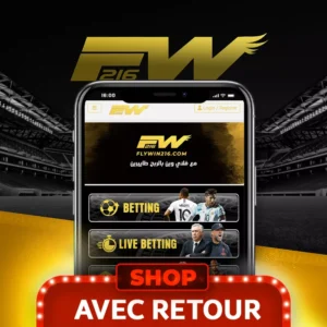 Flywin216 avec retour